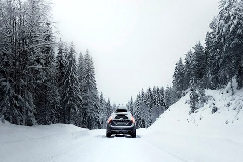 Auto qui roule sur une route enneigée bordée de sapins